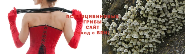 MDMA Premium VHQ Заводоуковск