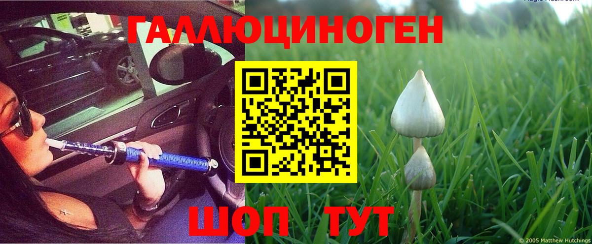Галлюциногенные грибы Psilocybine cubensis  Вход с VPN  Ирбит  Псилоцибиновые грибы Psilocybe 
